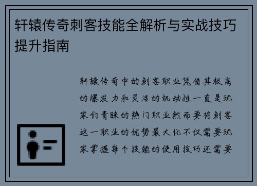 轩辕传奇刺客技能全解析与实战技巧提升指南
